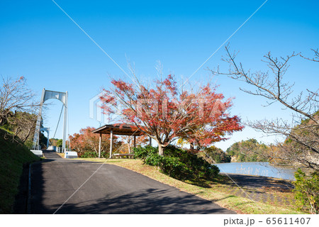 亀山湖畔の紅葉風景 秋 （千葉県君津市 草川原公園） 2019年11月撮影 65611407
