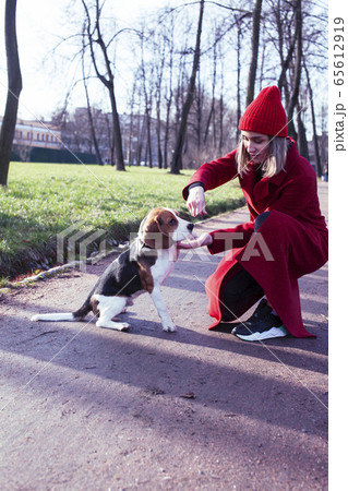 pretty young girl in redd coat playing with dog outside in green park, lifestyle people concept pretty young girl in redd coat playing with dog outside in green park, lifestyle people concept 65612919