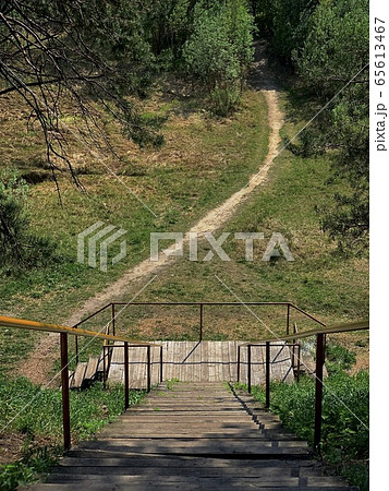 Taiga terrain, wooden staircase with metal 65613467