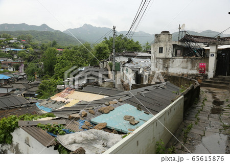 緑 風景 住宅 65615876