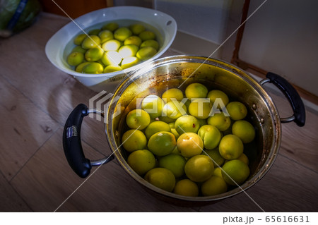 梅のアク抜きのイメージ 梅のアク抜きのイメージ 65616631