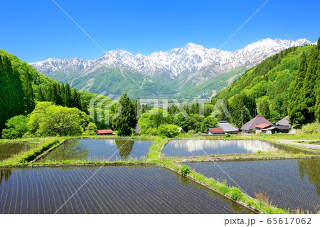 白馬村・青鬼の水田と北アルプス 白馬村・青鬼の水田と北アルプス 65617062