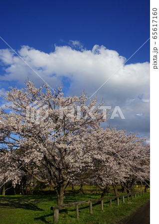 陣ケ岡歴史公園の月の輪形日の輪形 65617160