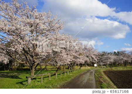 陣ケ岡歴史公園の月の輪形日の輪形 陣ケ岡歴史公園の月の輪形日の輪形 65617166