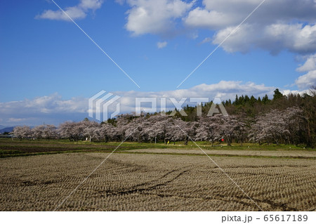 陣ケ岡歴史公園の月の輪形日の輪形 65617189