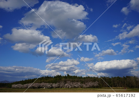 陣ケ岡歴史公園の月の輪形日の輪形 陣ケ岡歴史公園の月の輪形日の輪形 65617192