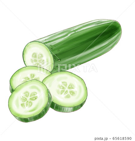 cucumber_watercolorのイラスト素材 [65618590] - PIXTA