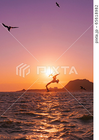 西伊豆の夕日と海鳥（静岡県） 65618982