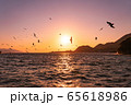 西伊豆の夕日と海鳥（静岡県） 65618986