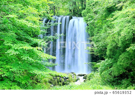 夏の菅平高原・唐沢の滝 65619352