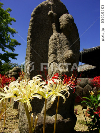 初秋を迎えた奈良 元興寺 初秋を迎えた奈良 元興寺 65619535