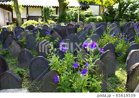 初秋を迎えた奈良 元興寺 初秋を迎えた奈良 元興寺 65619539