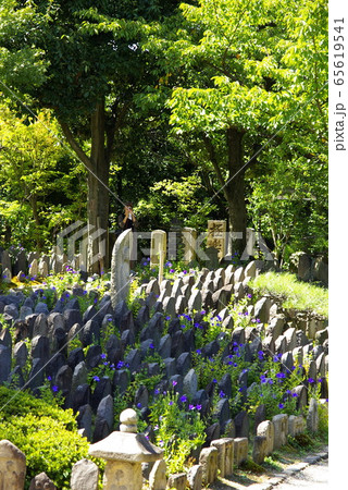 初秋を迎えた奈良 元興寺 65619541
