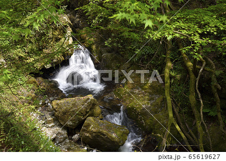 滔々の滝（とうとうのたき）岡山県真庭市 65619627