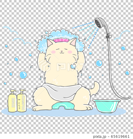 お風呂でシャンプーハットをつけて身体を洗う猫のイラスト素材