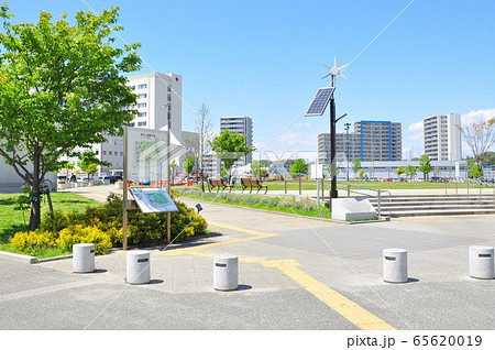 藤沢市の町並み　テラスモール湘南に隣接する神台公園の新緑と青空 65620019