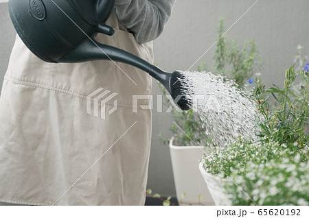 ベランダ　ガーデニング　プランター　植物　水やり　ジョウロ 65620192