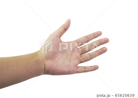 Women's hands in various postures. Women's hands in various postures. 65620639