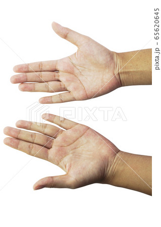 Women's hands in various postures. 65620645
