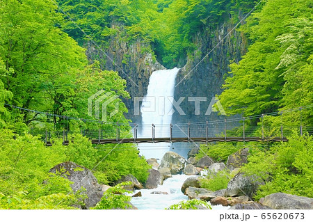 初夏の苗名滝 初夏の苗名滝 65620673