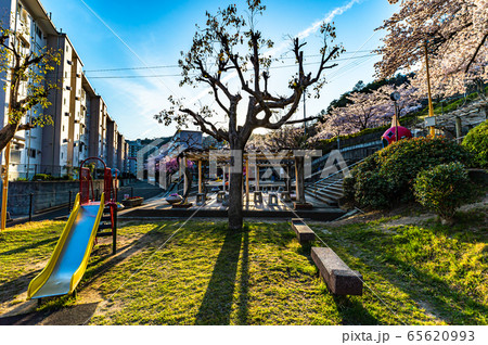 宝塚中山五月台の公園 65620993