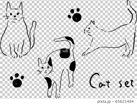 Cat line drawing vector set 65621484