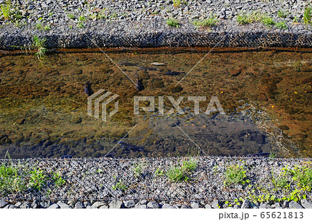 かごマットを使用した河道整備工事後のすっきりした川 かごマットを使用した河道整備工事後のすっきりした川 65621813