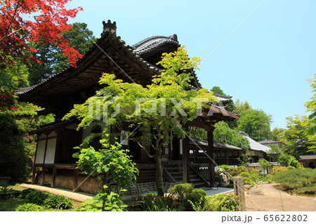 初夏の三室戸寺 65622802