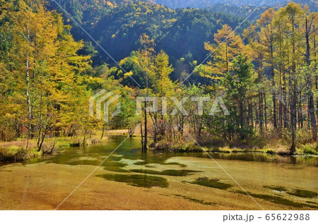 信州 上高地　秋景色　 65622988