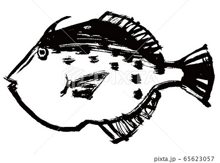 かわはぎ　水彩画 65623057