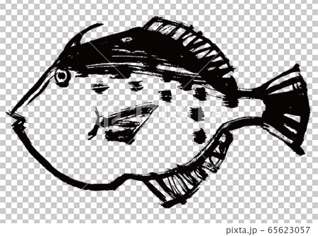 かわはぎ　水彩画 65623057