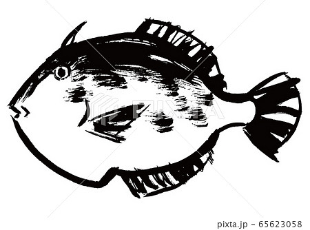 かわはぎ　水彩画 65623058