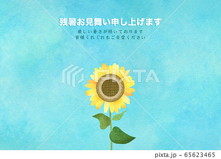 残暑見舞い-向日葵 65623465