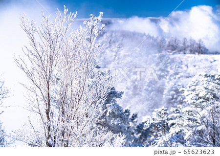 《山梨県》霧氷の森・三つ峠 《山梨県》霧氷の森・三つ峠 65623623