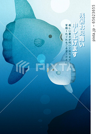 残暑見舞い-マンボウ 65623655