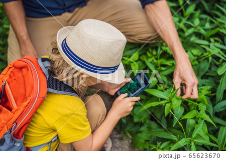 Dad and son identify plants using the application on a smartphone. augmented reality Dad and son identify plants using the application on a smartphone. augmented reality 65623670