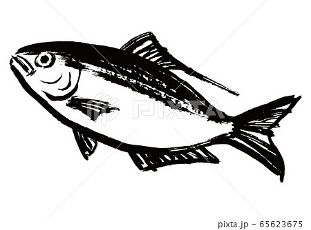 こはだ 水彩画 こはだ 水彩画 65623675