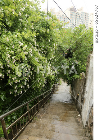 水路 滝 国立公園 65624767