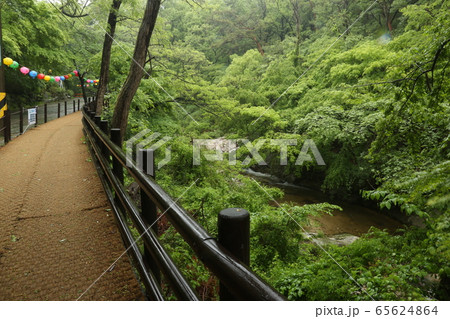 水路 滝 国立公園 65624864
