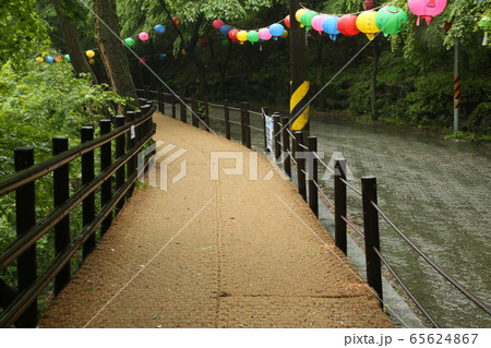 水路 滝 国立公園 65624867