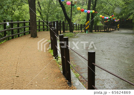 水路 滝 国立公園 65624869