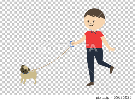 一隻公狗walking的插圖 一隻公狗walking的插圖 65625025