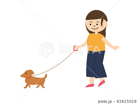 女性 犬の散歩 イラストのイラスト素材