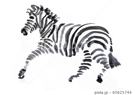 Zebra drawing with artistic black mascara. 65625744