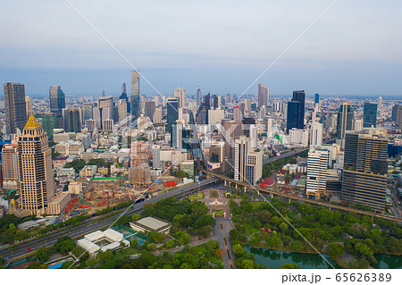 Aerial view of green trees in Lumpini Park, Aerial view of green trees in Lumpini Park, 65626389