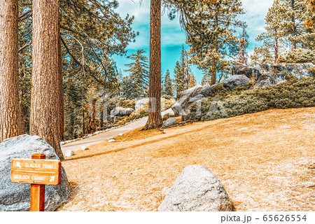 Magnificent national American natural park - 65626554