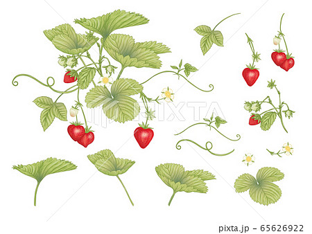 straw set 3 zz straw set 3 zz 65626922