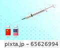 Chinese and american vaccine doses with syringe 3D vector illustration 65626994