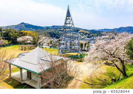 江迎中央公園の桜 【長崎県佐世保市】 江迎中央公園の桜 【長崎県佐世保市】 65628044