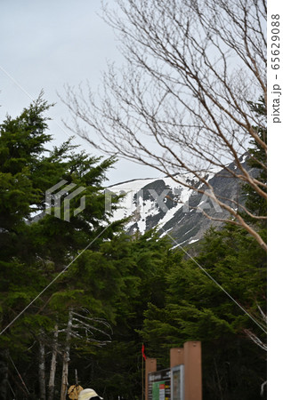 春の早池峰山 65629088